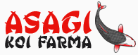 Prodej koi kaprů logo